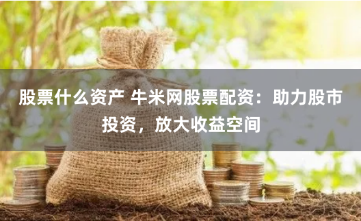 股票什么资产 牛米网股票配资：助力股市投资，放大收益空间