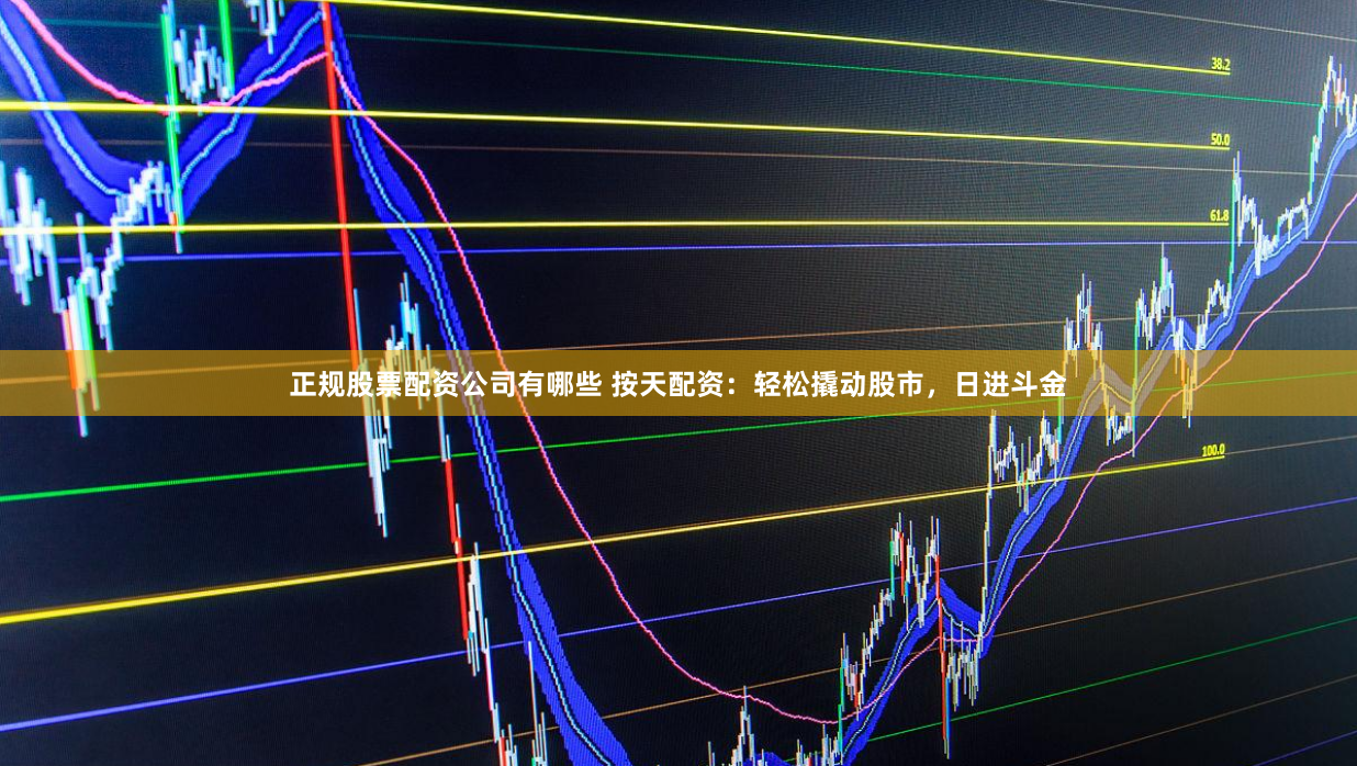 正规股票配资公司有哪些 按天配资：轻松撬动股市，日进斗金