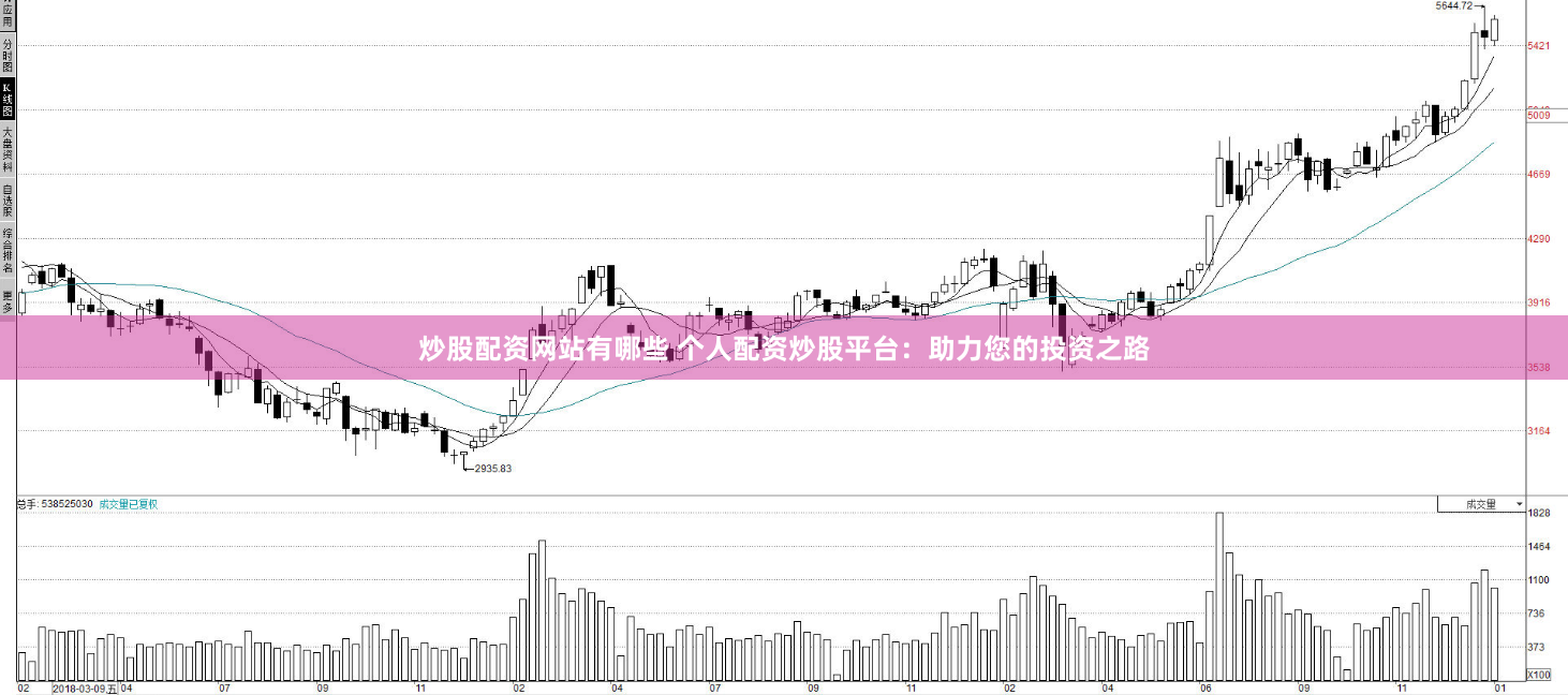 炒股配资网站有哪些 个人配资炒股平台：助力您的投资之路