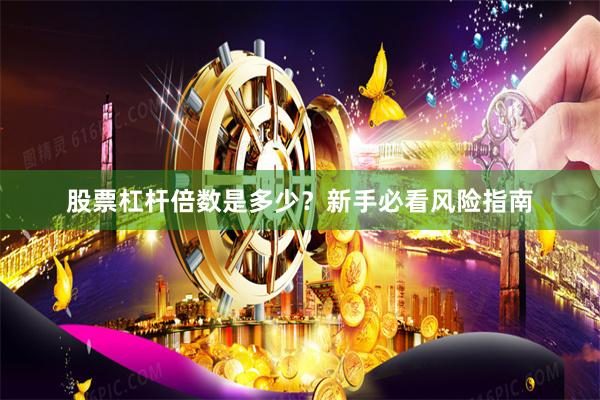股票杠杆倍数是多少?新手必看风险指南