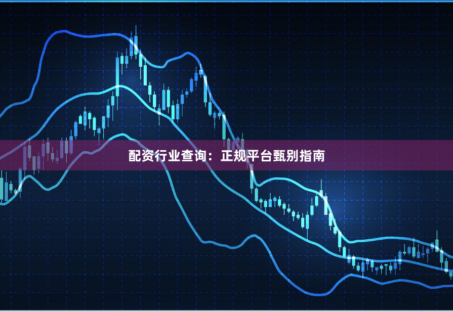 配资行业查询：正规平台甄别指南